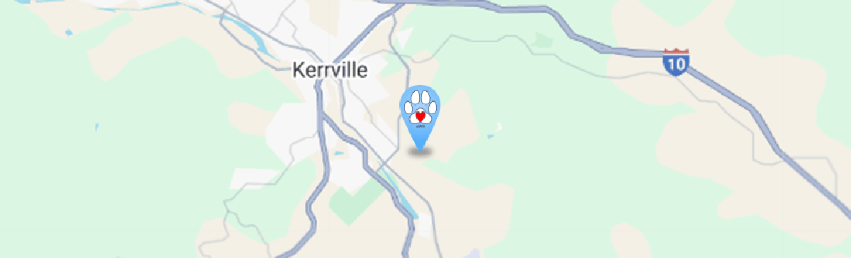 Freemann-Fritts Veterinary Clinic and Shelter Contact Us Banner Background Image