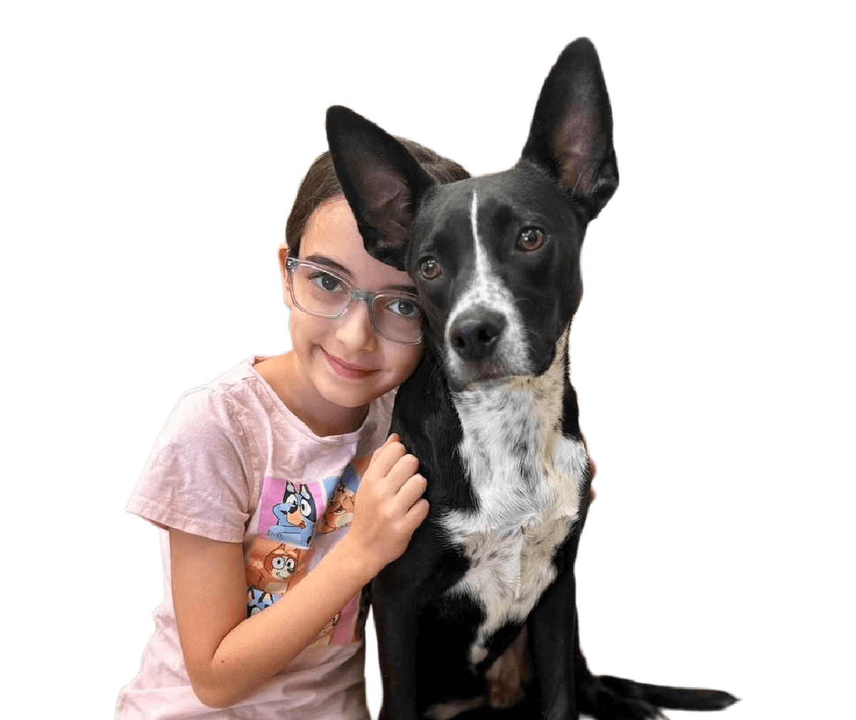 Freemann-Fritts Veterinary Clinic and Shelter - How Adoption Works<br> (5 Simple Steps) Image