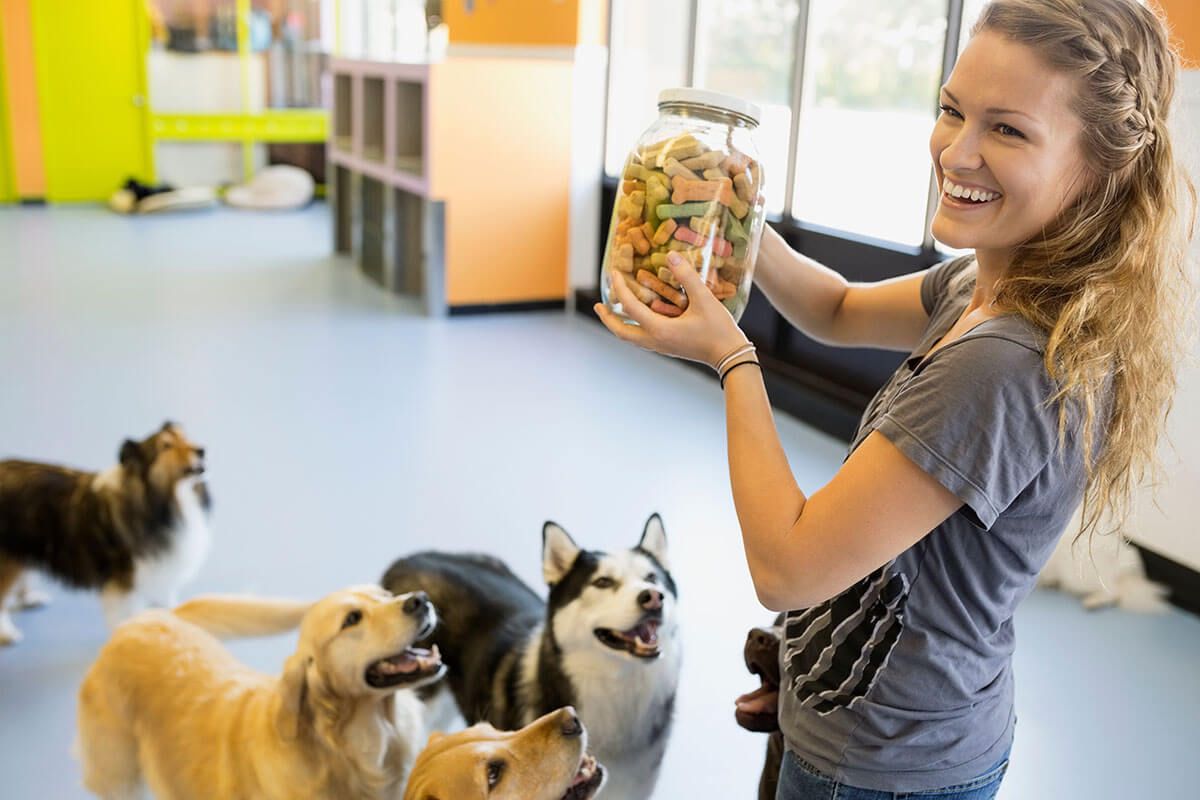 Freemann-Fritts Veterinary Clinic and Shelter Boarding Services Banner Background Image