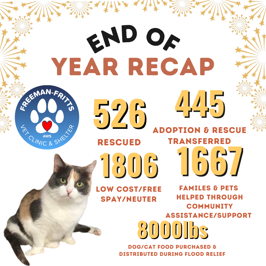 A Year That Changed Us — And the Lives We Saved