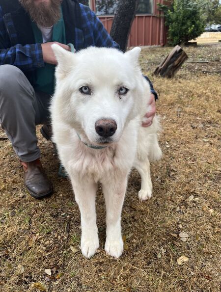 This senior needs a soft place to land Dakota