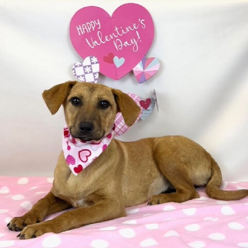 What’s New This February at Freeman-Fritts