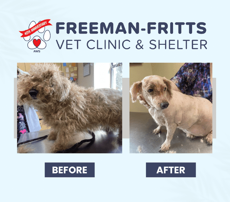 How Freeman-Fritts Steps In When Families Need It Most