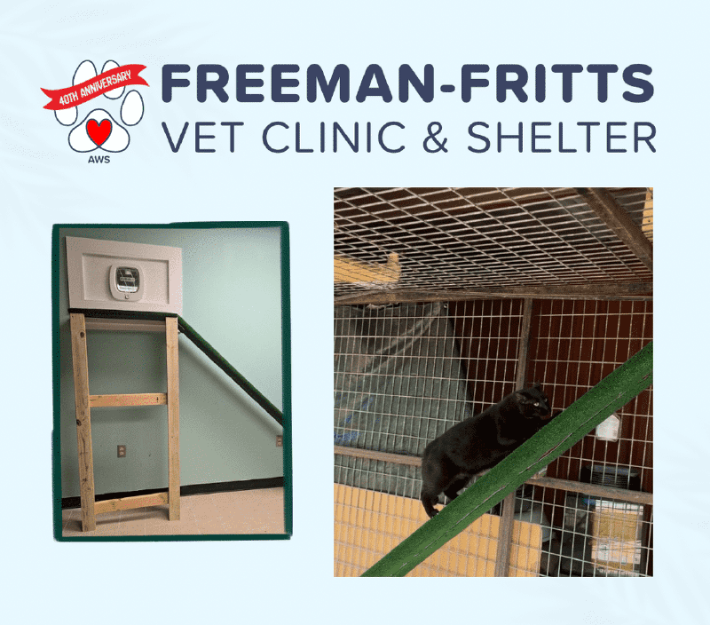 Freeman-Fritts Unveils New Outdoor Catio