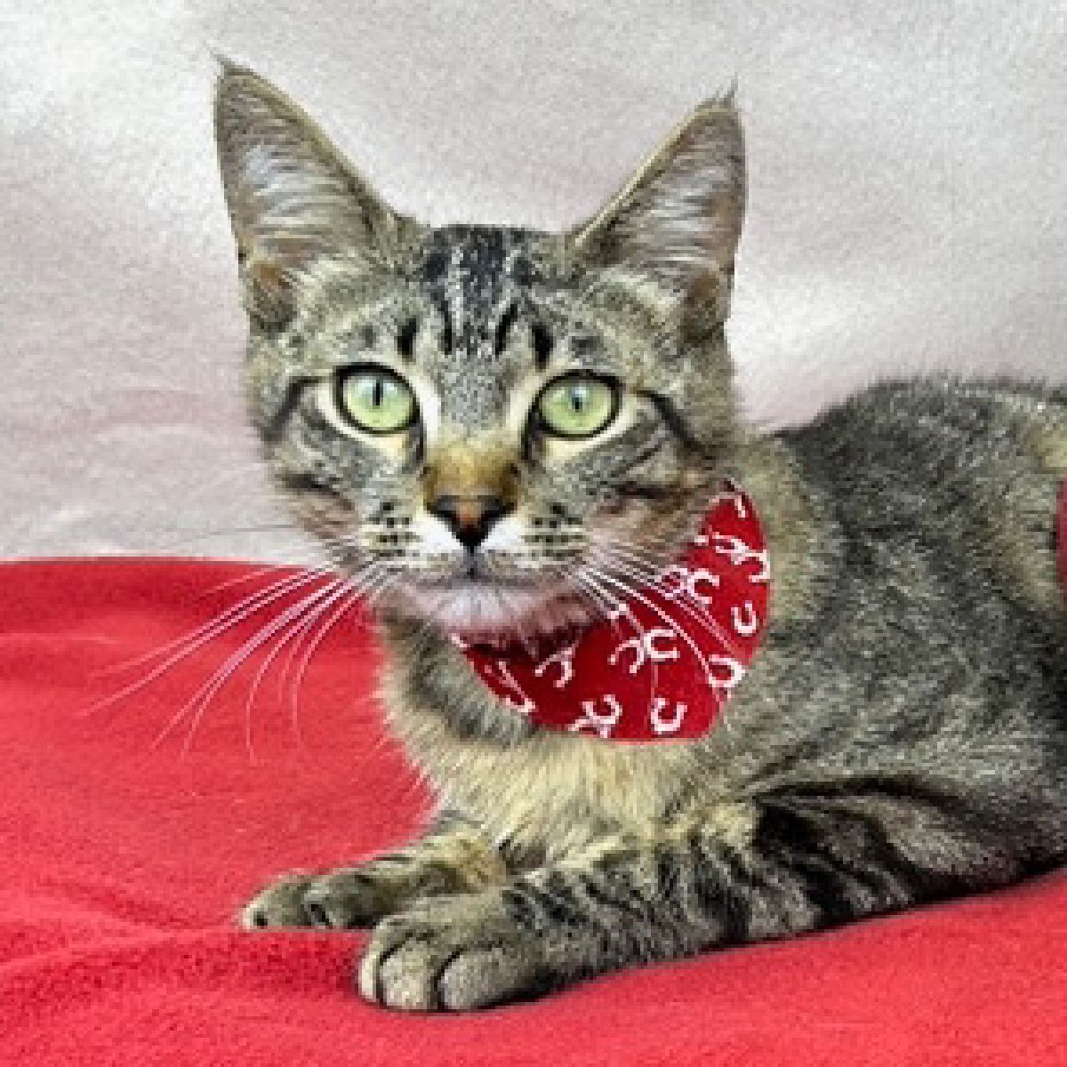 %!s(<nil>) Luke Banner Background Image