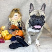Louie