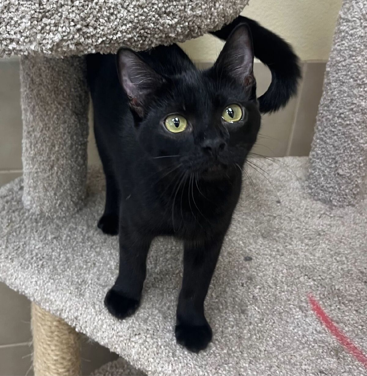 %!s(<nil>) Tia  Banner Background Image