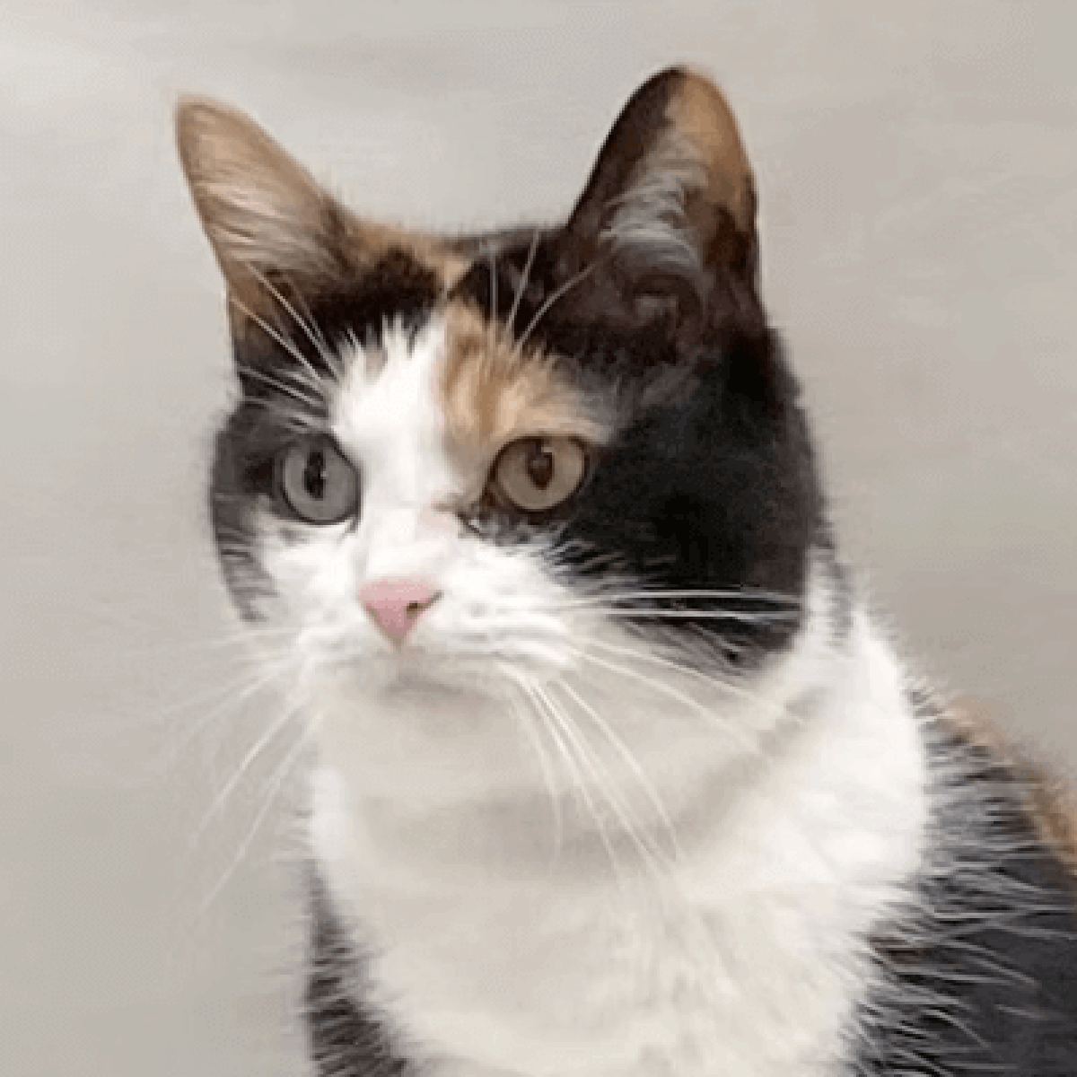 %!s(<nil>) Eva Banner Background Image