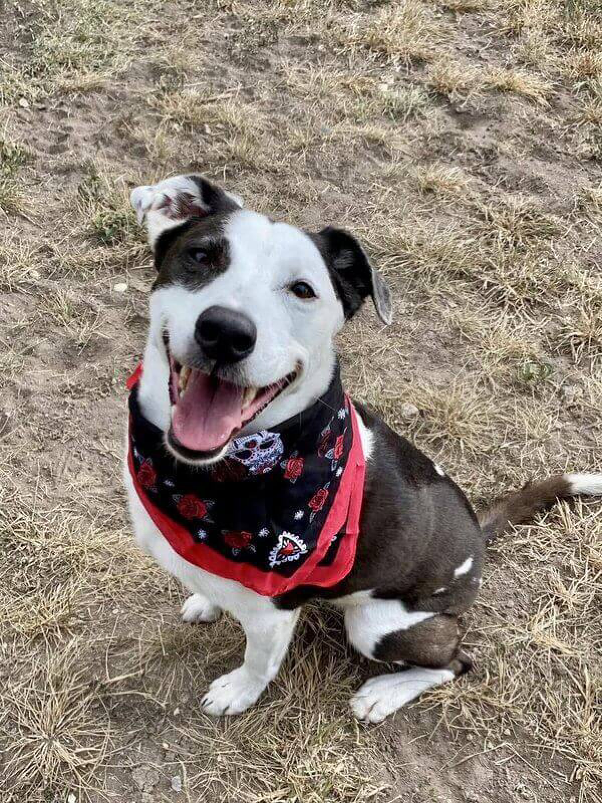 %!s(<nil>) Amanda Banner Background Image