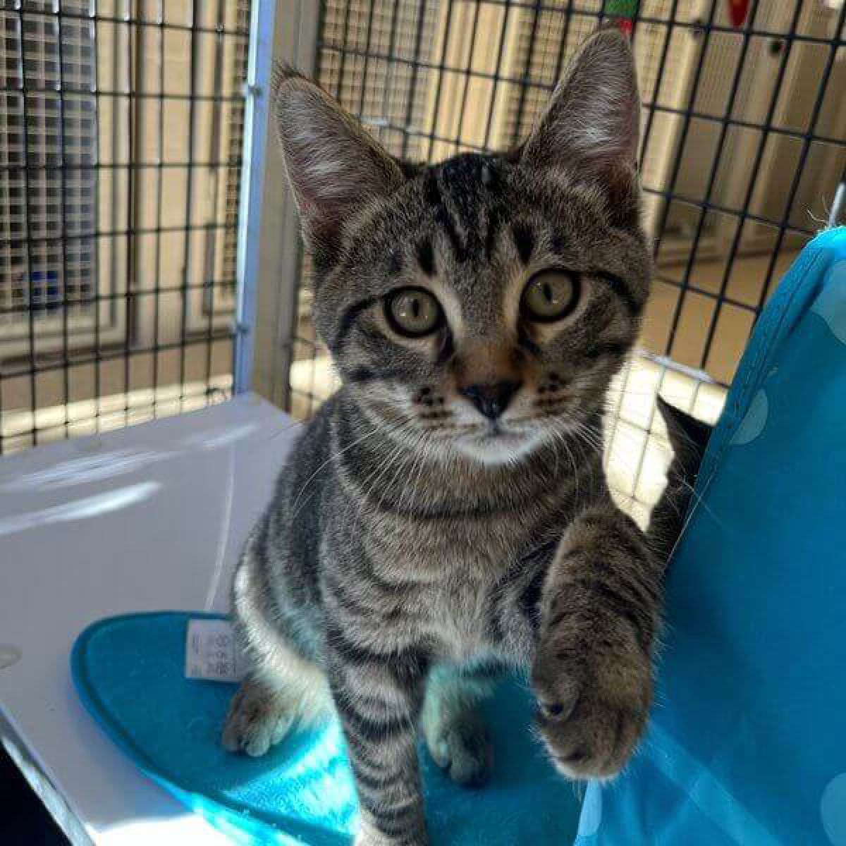 %!s(<nil>) Luke Banner Background Image