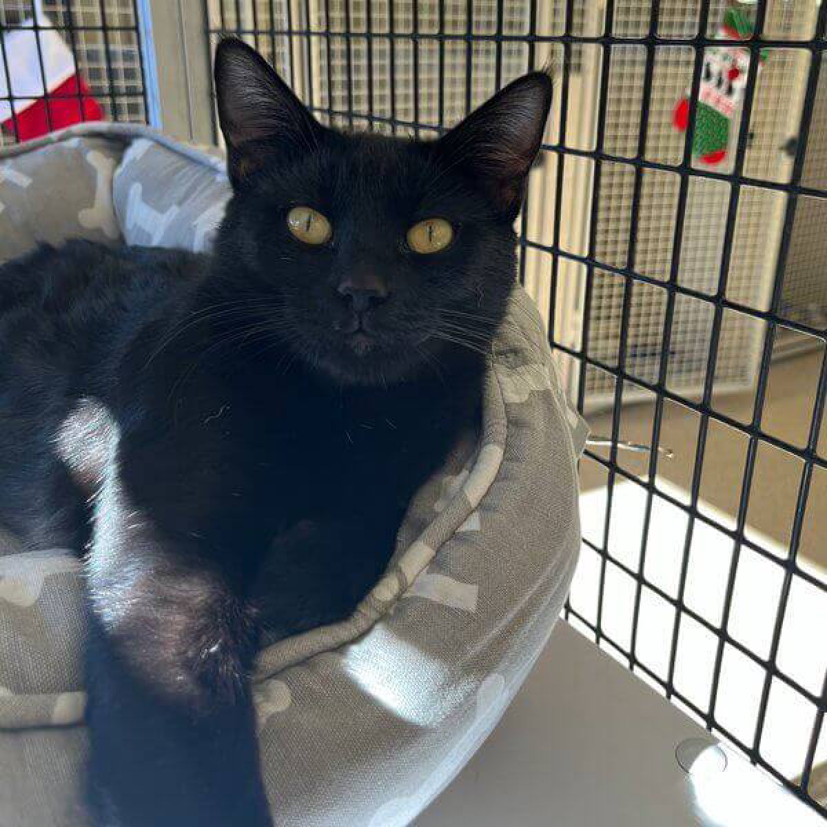 %!s(<nil>) Emily Banner Background Image