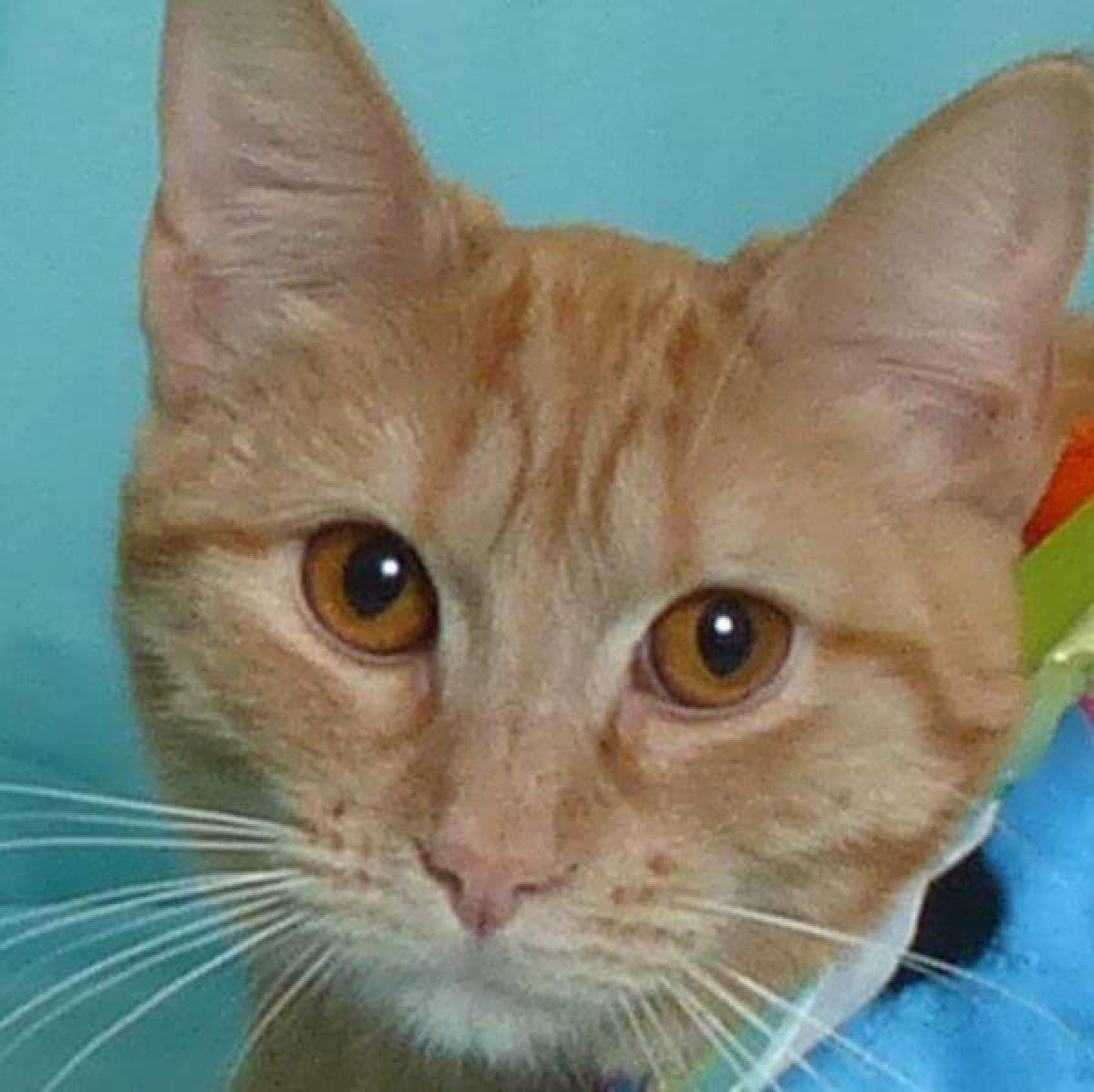 %!s(<nil>) Elizabeth Banner Background Image