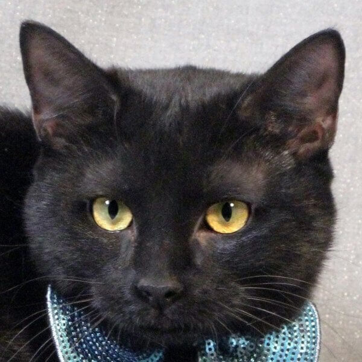 %!s(<nil>) Bart Banner Background Image