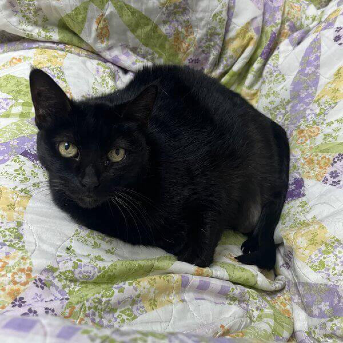 %!s(<nil>) Kitzer Banner Background Image