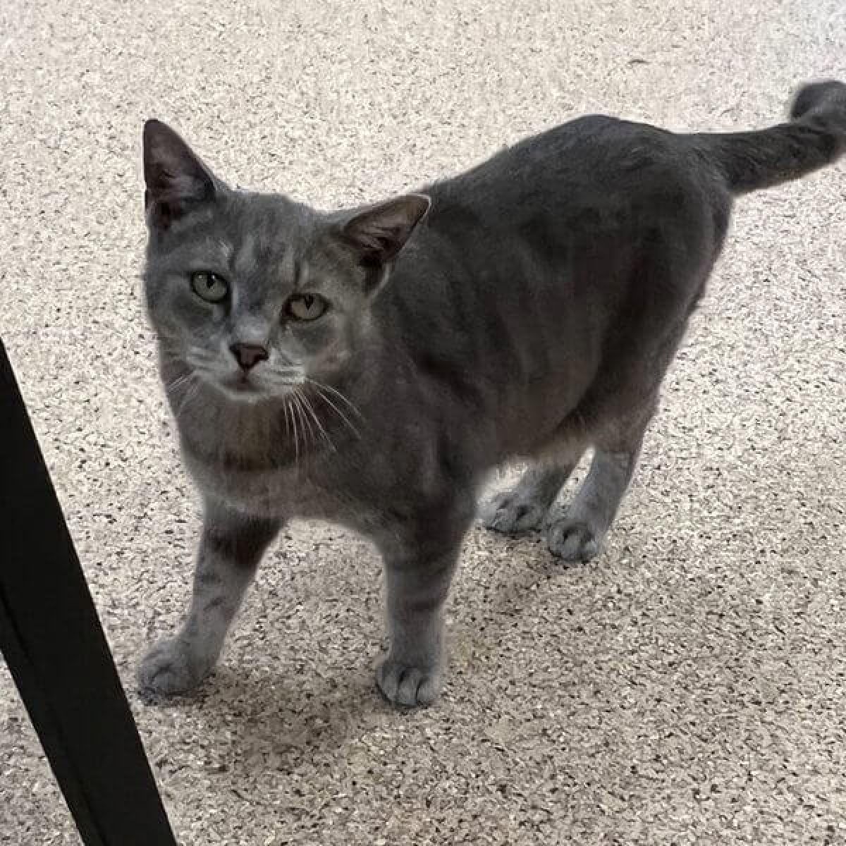 %!s(<nil>) Farrah Banner Background Image