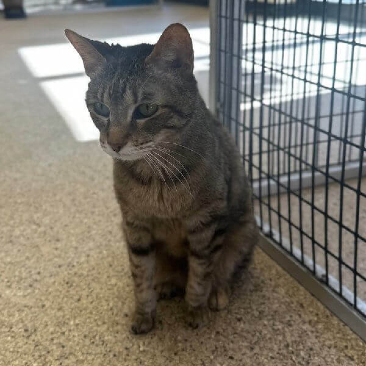 %!s(<nil>) Molly Banner Background Image