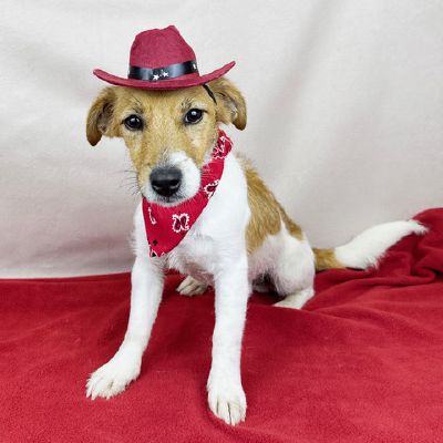 Here’s the real Cowboy Freeman-Fritts Pet photo