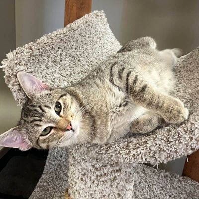 Max being adorable Freeman-Fritts Pet photo