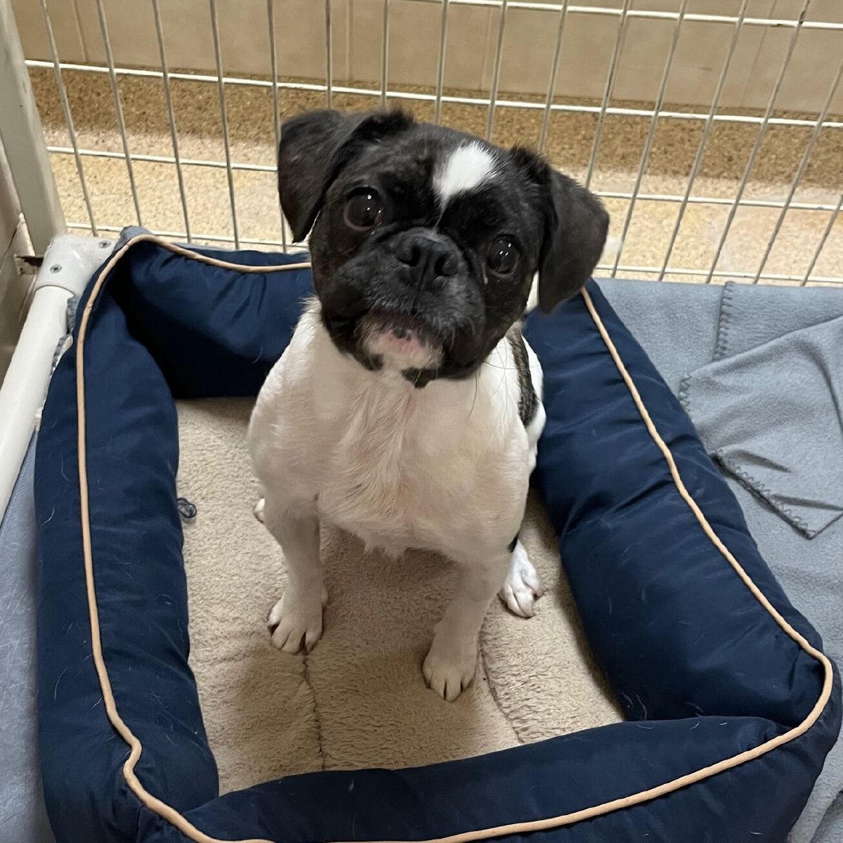 %!s(<nil>) Dulce Banner Background Image