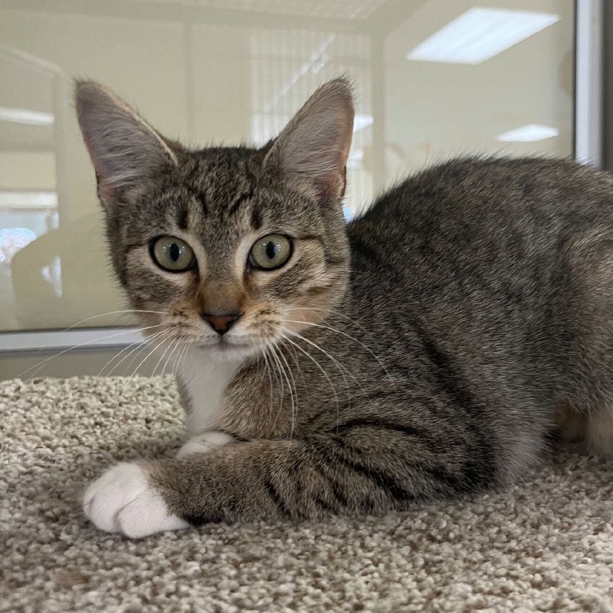 %!s(<nil>) Noodles Banner Background Image